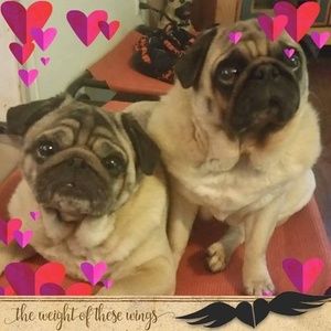 Meet your Posher, Lori